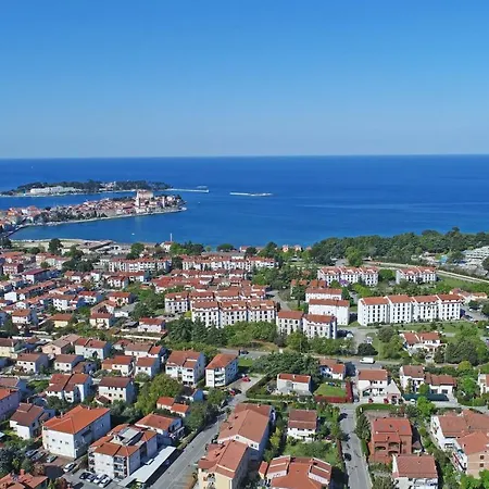 Salvia 4 Stars Daire *