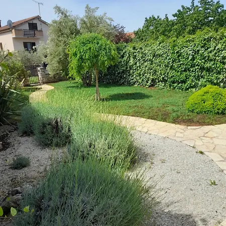 Salvia 4 Stars Daire