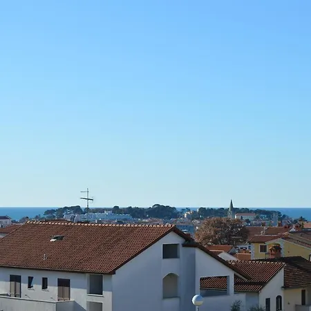 Salvia 4 Stars Daire