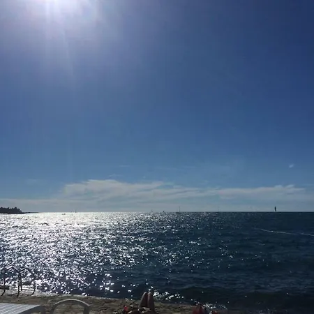 Salvia 4 Stars * Porec