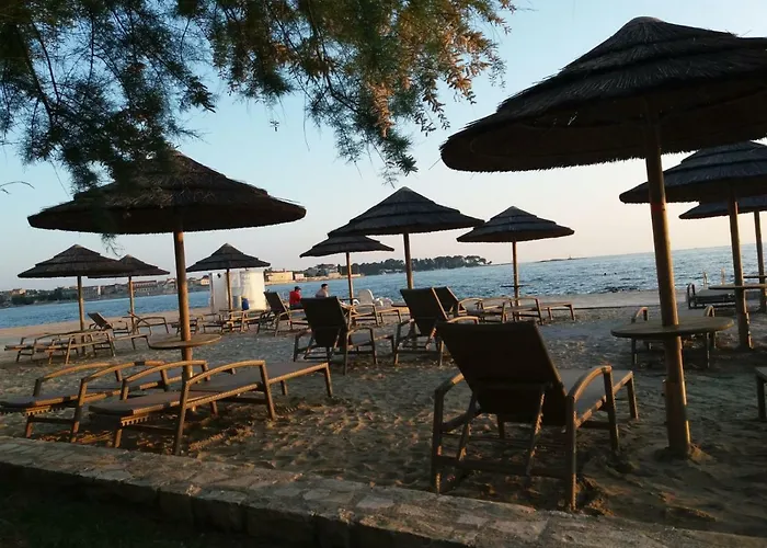 Lejlighed Salvia 4 Stars