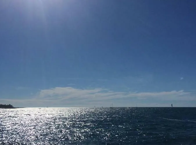 Salvia 4 Stars * Poreč